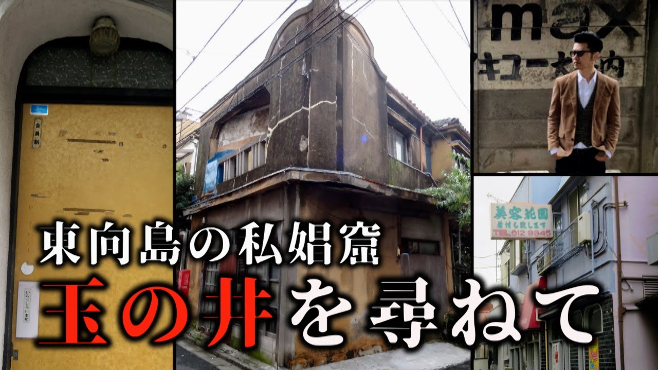 隅田川・向島のエスノグラフィー 「下町らしさ」のパラドックスを生きる 西川 枕 睡眠博士 低め 横寝サポート枕 高さ調節 洗濯OK 人間