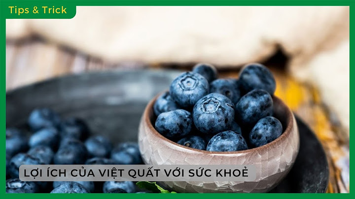 Quả việt quất còn có tên là gì năm 2024