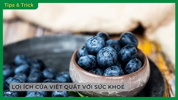Những LỢI ÍCH TUYỆT VỜI từ VIỆT QUẤT đối với sức khoẻ - Bách hoá XANH