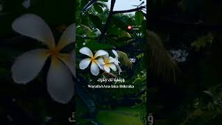 سورة الم نشرح لك صدرك راحه نفسيه🎧🕊️أجمل حالات واتس تلاوه خاشعه مؤثره 𝙌𝙪𝙧𝙖𝙣 𝙎𝙩𝙖𝙩𝙪𝙨❤