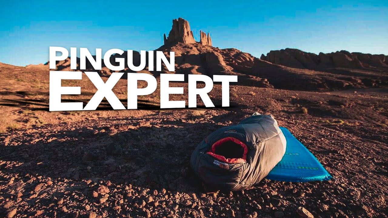 Зимовий спальник | Pinguin Expert 2020