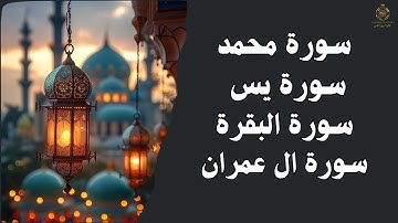 تلاوة تريح القلب ، سورة البقرة، يس، آل عمران، محمد – تلاوة خاشعة لشهر رمضان"