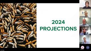 MLA Cattle Projections - 11 March 2024 Webinar Recording