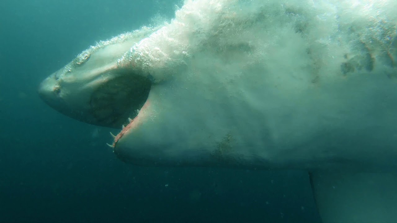 The Power of Music - Short Film (4K)