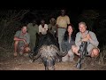 Africam hunts  hunting three of africas deadly big 5