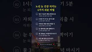 노년 눈 건강 지키는 6가지 쉬운 비법 #노후지혜 #노후건강 #눈건강