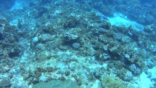201506191107綠島柴口保護區