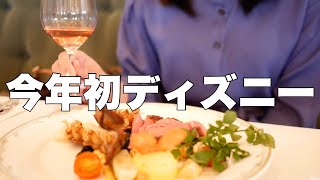 【飲酒】陰キャオタクのOLはひとりディズニーで何をしているのか【Dヲタ】