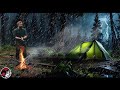 Thunder and Lightning - Heavy Rain Camp in the Secluded Forest - Solo ASMR Overnight Camp