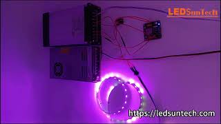 Celebrity How to Wire and Code WS2818 LED Strip on ESP8266 Wealth