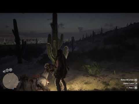 Rdr2 - Cactus of steel - YouTube