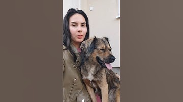 Stop Paying for Websites, Do This Instead #websitebuilder #hack #tutorial