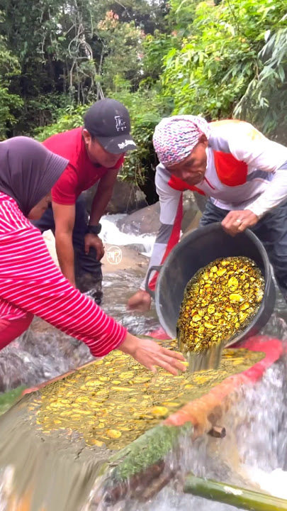 TREASURE HUNT FOR GOLD.! TREASURE HUNT FOUND REAL GOLD #treasurehunting #panningforgold #goldminer