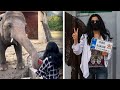 Cher Welcomes ‘Loneliest Elephant’ to Cambodia Sanctuary