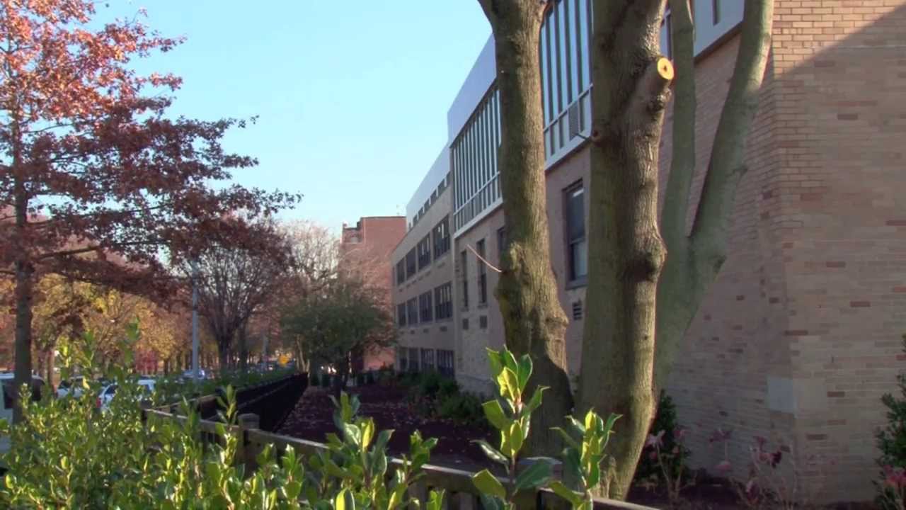 Icahn Charter School 4 YouTube