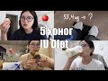 5 хоног IU Diet барьж үзэв 🍎🍠🥛