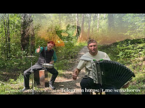 Accordionist and Drummer 🥁 Heartfelt Birthday Greetings ….
