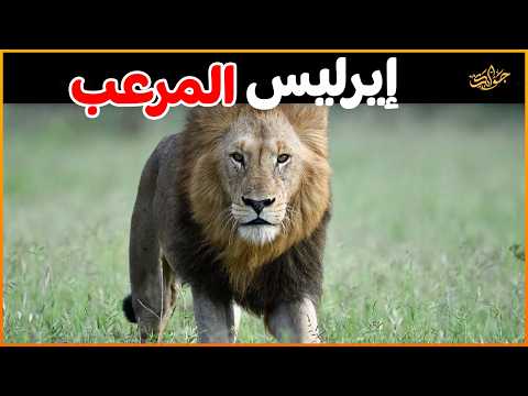 معركة الخيانة كيف مز ق إيرليس ولاءه لنوتش وأشعل حرب الهيمنة
