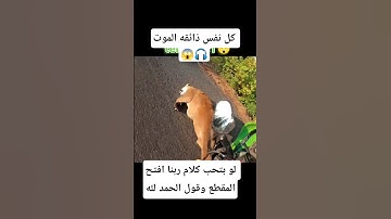 #قرآن #اكسبلور #المصحف #الرحمن #لايك #الريتش_في_ذمة_الله #تلاوة_هادئة #تلاوات_خاشعة #راحة_نفسية