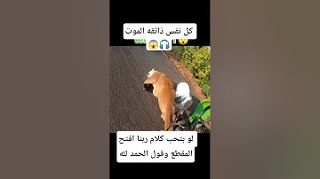 #قرآن #اكسبلور #المصحف #الرحمن #لايك #الريتش_في_ذمة_الله #تلاوة_هادئة #تلاوات_خاشعة #راحة_نفسية