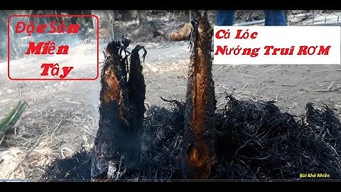 Cá Lóc Nướng Trui với Rơm - Đặc Sản Miền Tây - Xem Là Cười