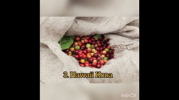 Thumbnail of MENGENAL 5 JENIS KOPI TERBAIK DI DUNIA YANG SANGAT UNIK: PENIKMAT KOPI WAJIB TAHU!