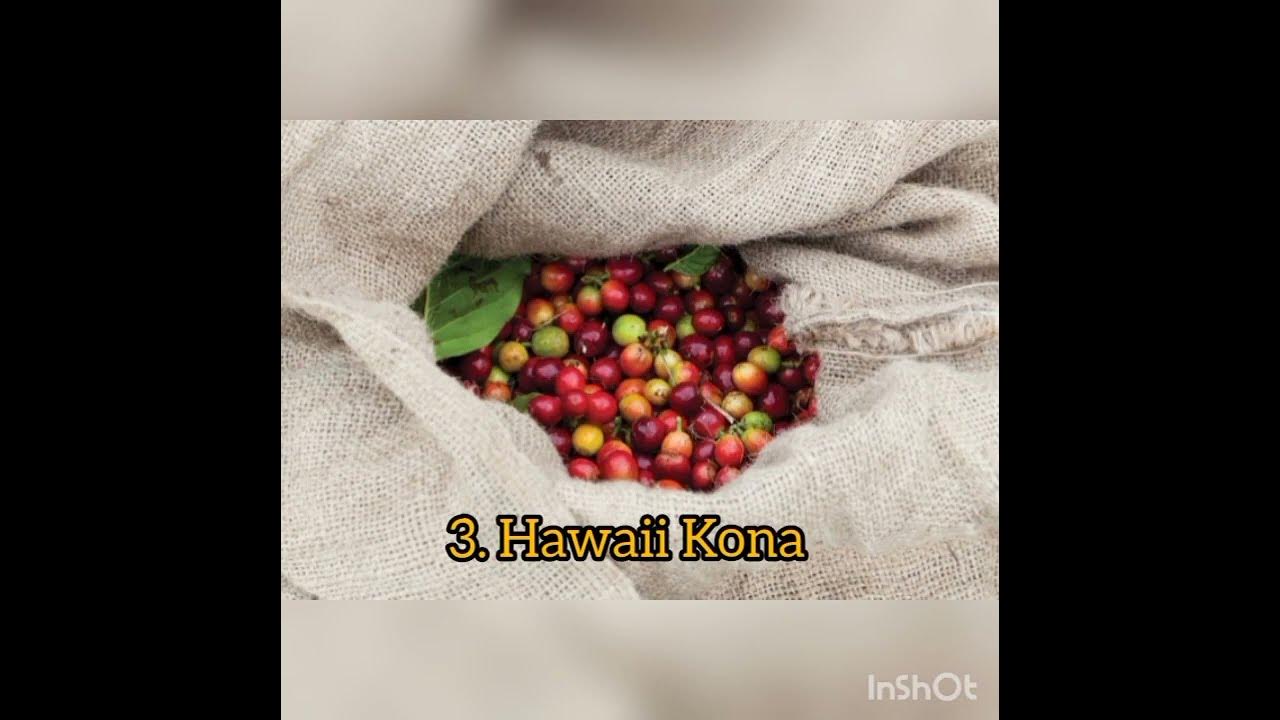 MENGENAL 5 JENIS KOPI TERBAIK DI DUNIA YANG SANGAT UNIK: PENIKMAT KOPI WAJIB TAHU!