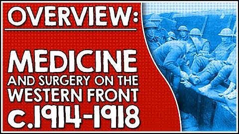 Overview: Medicine and surgery in the British sector of the Western Front