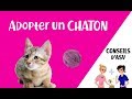 Ref:iqej2FJaZng   adopter un chaton