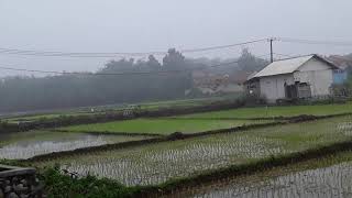 Pemandangan ancol pasir