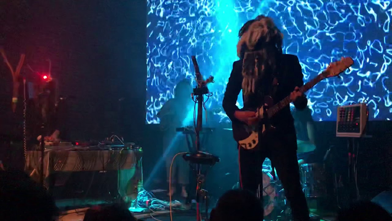 Snapped Ankles - True Ecology