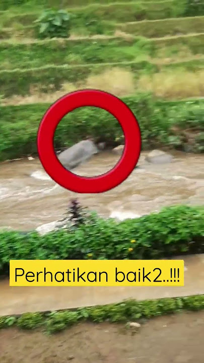 ALAM GHAIB PASTI ADA‼️😱