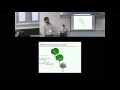 Multiscale topological and geometrical representation of plant architecture