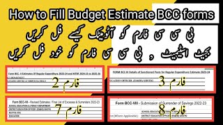 Information How to fill Budget Estimate 2023 24 | BCC forms part 2 |#aeemployeesnews #youtube #bcc Update