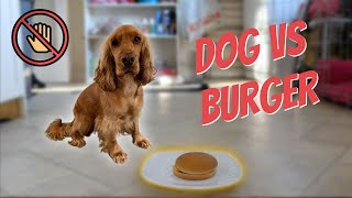 Dog Leave It Challenge 2nd Attempt - Dogs First McDonalds Burger