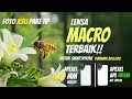 LENSA MAKRO TERBAIK UNTUK SMARTPHONE APEXEL HD5M VS APEXEL 100MM MACRO