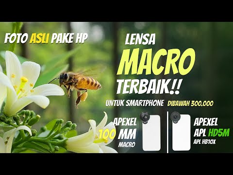 LENSA MAKRO TERBAIK UNTUK SMARTPHONE APEXEL HD5M VS APEXEL 100MM MACRO