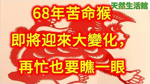 68年苦命猴，即将迎来大变化，再忙也要瞧一眼！ - 天天要闻