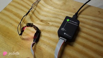 Program Debugging Firmware | Pallette