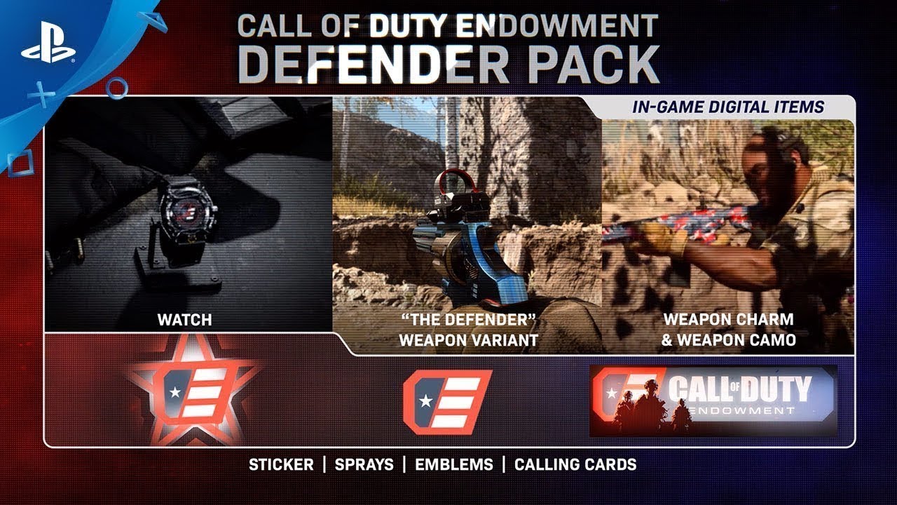 Call of duty Modern Warfare *ENDOWMENT DEFENDER PACK* - 