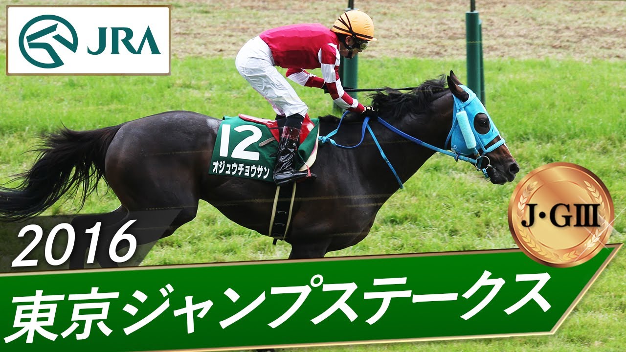 2016 Tokyo Jump Stakes (J・GIII) | Oju Chosan | JRA Official - YouTube