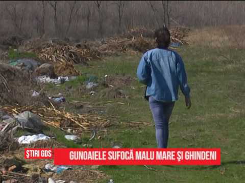 Gunoaiele sufocă Malu Mare şi Ghindeni