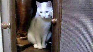 CIMG8135.AVI