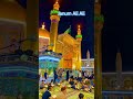 janum Ali Ali #yaali #noha #shorts #nadeemsarwar