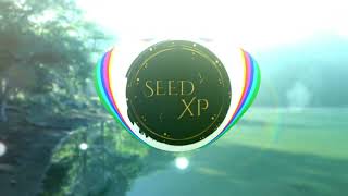 Seedxp - Geceye Sor 