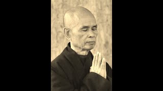Commemorating Thich Nhat Hanh's Passing
