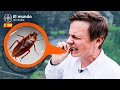 ¿A qué sabe una CUCARACHA de $70 000? El mundo al revés. China. 10 edición