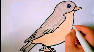 رسم عصفور للمبتدئين|رسم عصفور سهل|رسم عصفور صغير|رسم سهل| تعليم الرسم| how to draw a bird