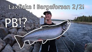 Laxfiske i Bergeforsen 2021 del 2/2