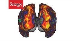 Researchers demonstrate ‘mind-reading’ brain-decoding tech